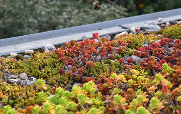 the cost of Shopp Hill green roof installation