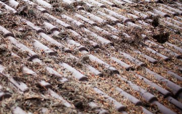 Shopp Hill roof cleaning companies